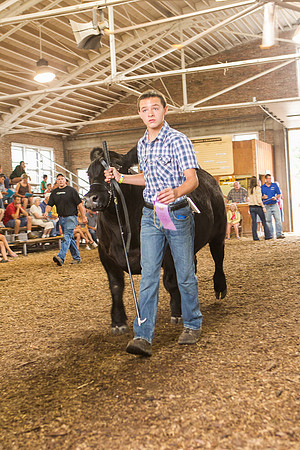 Photograph of Rock County 4-H Fair Taken 7-26-12