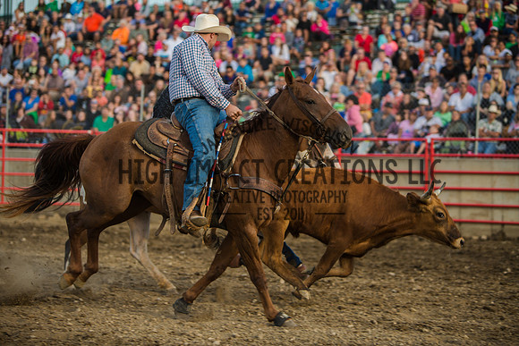 Big Hat Rodeo | Grayslake Rodeo | Lake County Fair