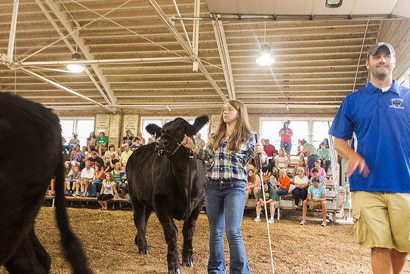 Photograph of Rock County 4-H Fair Taken 7-26-12