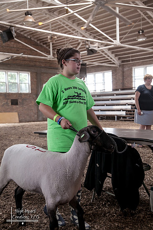 Janesville Photographers Rock County 4-H Fair Photographs