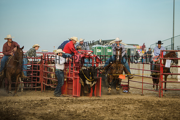 Big Hat Rodeo | Grayslake Rodeo | Lake County Fair