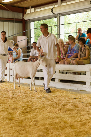 Photograph of Rock County 4-H Fair Taken 7-26-12