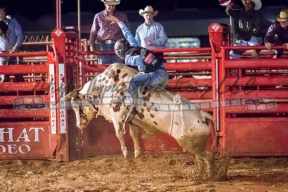 Elkhorn