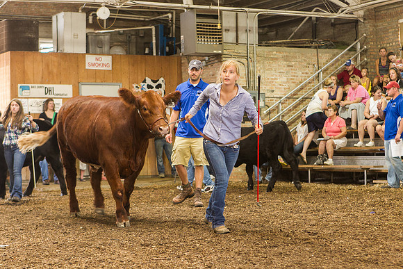 Photograph of Rock County 4-H Fair Taken 7-26-12
