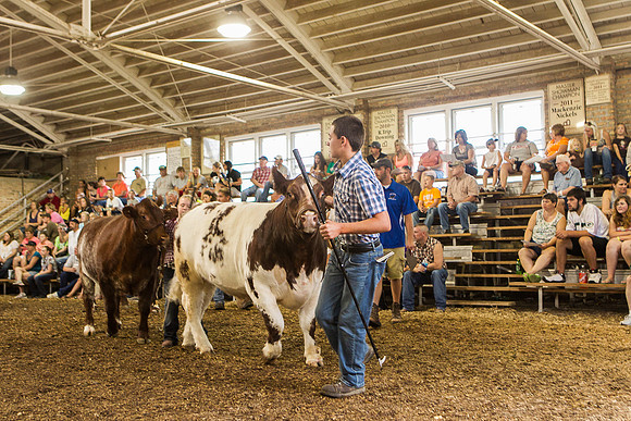 Photograph of Rock County 4-H Fair Taken 7-26-12