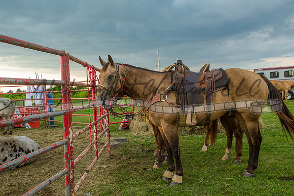 Harvard Rodeo | Big Hat Rodeo Photograph