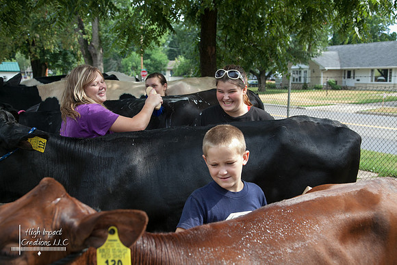 Janesville Photographers Rock County 4-H Fair Photographs