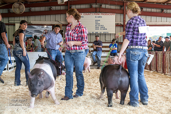Janesville Photographers Rock County 4-H Fair Photographs