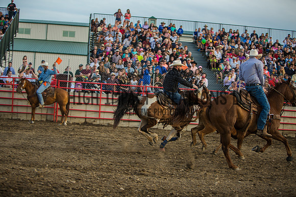 Big Hat Rodeo | Grayslake Rodeo | Lake County Fair
