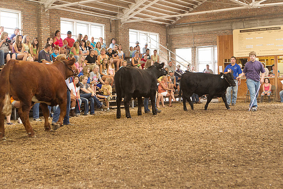 Photograph of Rock County 4-H Fair Taken 7-26-12