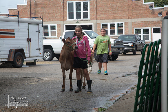 Janesville Photographers Rock County 4-H Fair Photographs
