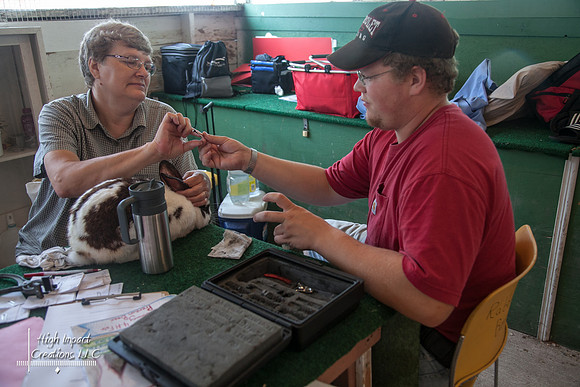 Janesville Photographers Rock County 4-H Fair Photographs