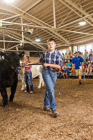 Photograph of Rock County 4-H Fair Taken 7-26-12