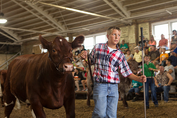 Photograph of Rock County 4-H Fair Taken 7-26-12