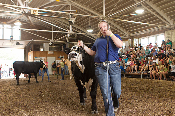 Photograph of Rock County 4-H Fair Taken 7-26-12