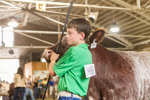 Photograph of Rock County 4-H Fair Taken 7-26-12