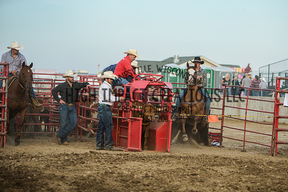 Big Hat Rodeo | Grayslake Rodeo | Lake County Fair