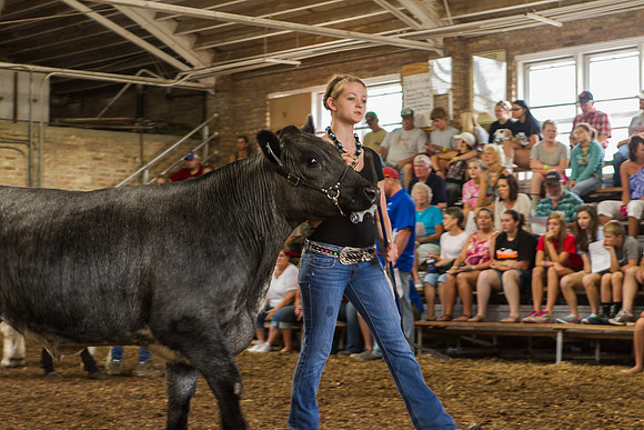 Photograph of Rock County 4-H Fair Taken 7-26-12