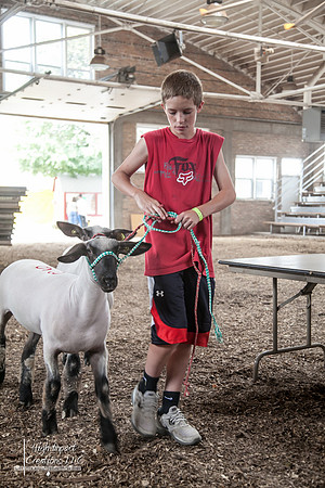 Janesville Photographers Rock County 4-H Fair Photographs
