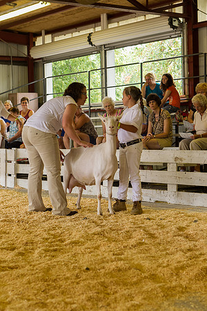 Photograph of Rock County 4-H Fair Taken 7-26-12