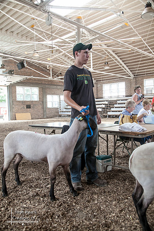 Janesville Photographers Rock County 4-H Fair Photographs