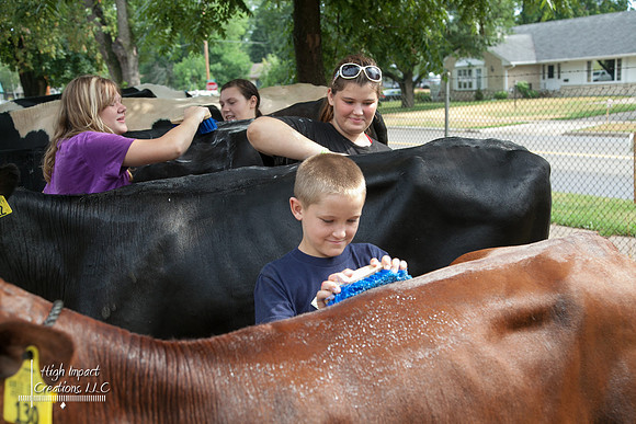 Janesville Photographers Rock County 4-H Fair Photographs