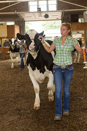 Photograph of Rock County 4-H Fair Taken 7-26-12