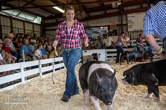 Janesville Photographers Rock County 4-H Fair Photographs