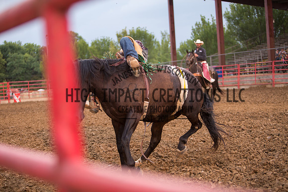 Ogle County Fair Rodeo | Big Hat Rodeo