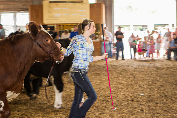 Photograph of Rock County 4-H Fair Taken 7-26-12