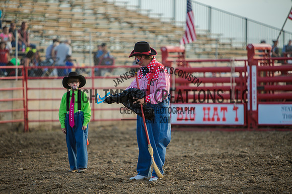 Big Hat Rodeo | Grayslake Rodeo | Lake County Fair