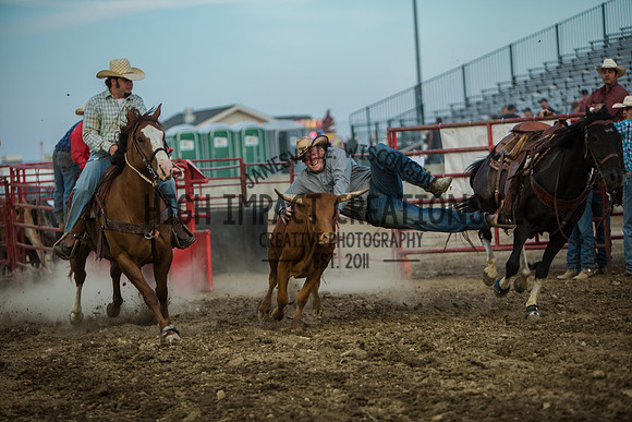 Big Hat Rodeo | Grayslake Rodeo | Lake County Fair