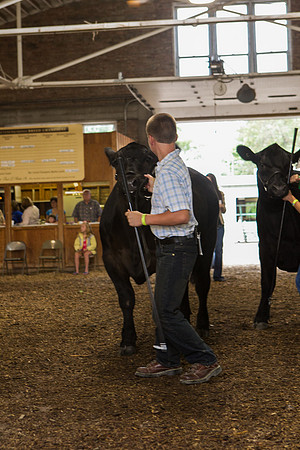 Photograph of Rock County 4-H Fair Taken 7-26-12