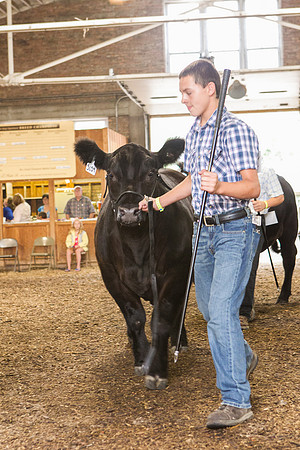 Photograph of Rock County 4-H Fair Taken 7-26-12