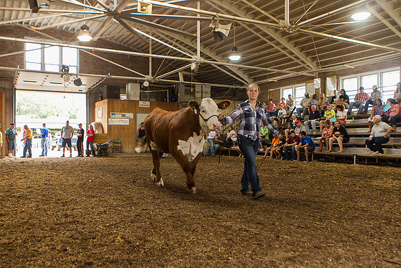 Photograph of Rock County 4-H Fair Taken 7-26-12