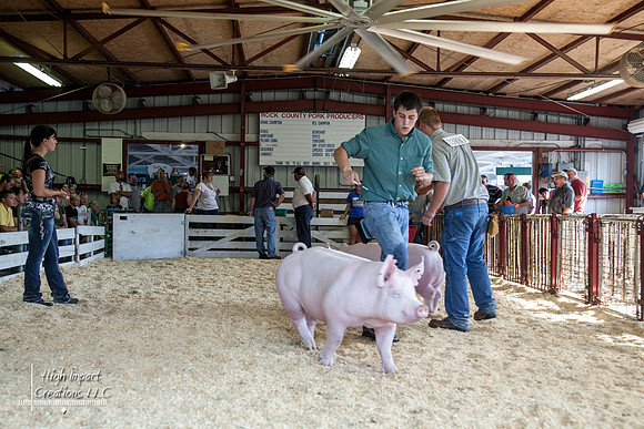 Janesville Photographers Rock County 4-H Fair Photographs