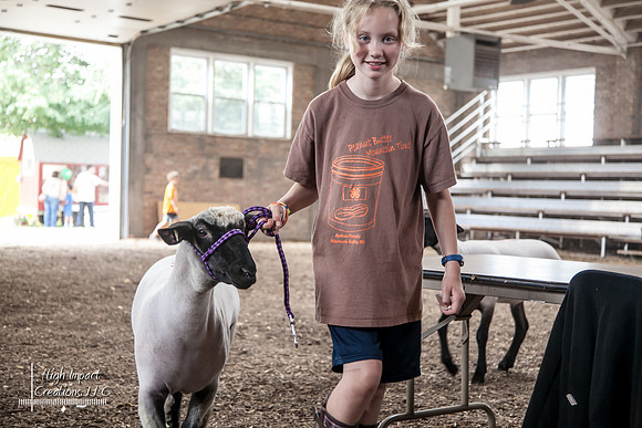 Janesville Photographers Rock County 4-H Fair Photographs