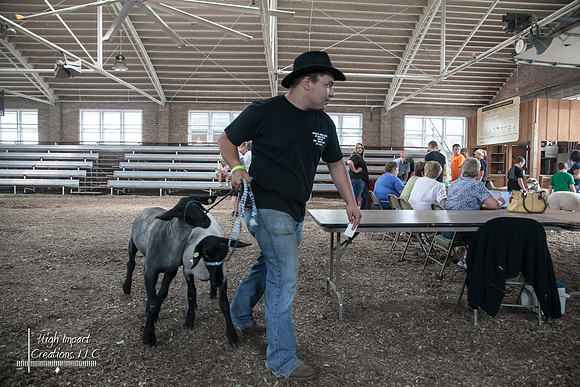 Janesville Photographers Rock County 4-H Fair Photographs