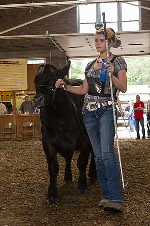Photograph of Rock County 4-H Fair Taken 7-26-12