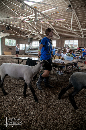 Janesville Photographers Rock County 4-H Fair Photographs