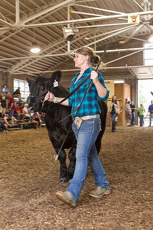 Photograph of Rock County 4-H Fair Taken 7-26-12