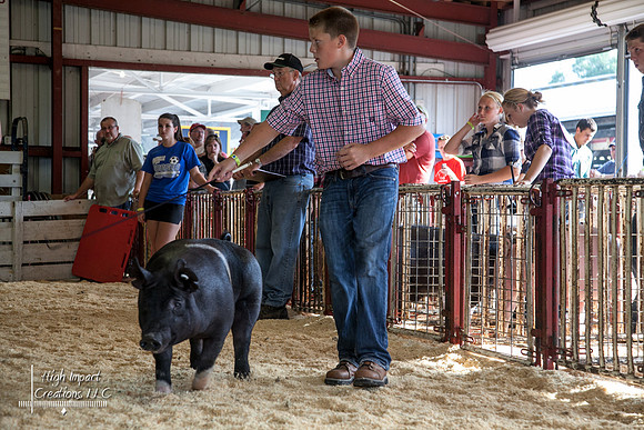 Janesville Photographers Rock County 4-H Fair Photographs