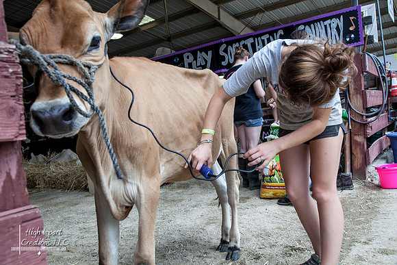 Janesville Photographers Rock County 4-H Fair Photographs