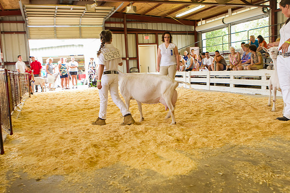 Photograph of Rock County 4-H Fair Taken 7-26-12