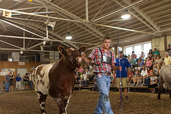 Photograph of Rock County 4-H Fair Taken 7-26-12