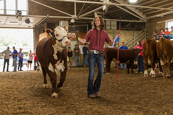 Photograph of Rock County 4-H Fair Taken 7-26-12
