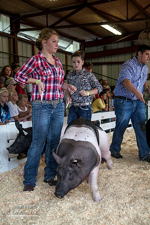 Janesville Photographers Rock County 4-H Fair Photographs