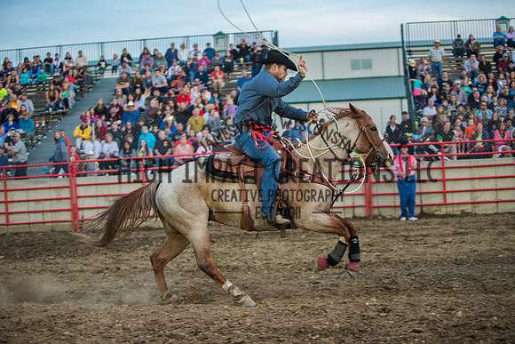 Big Hat Rodeo | Grayslake Rodeo | Lake County Fair
