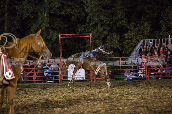 HIC_8725