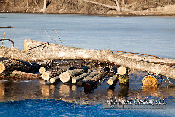 Picture a Day #93, 4-02-13
